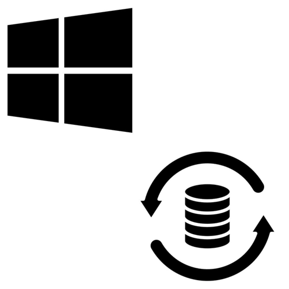 Formato + backup